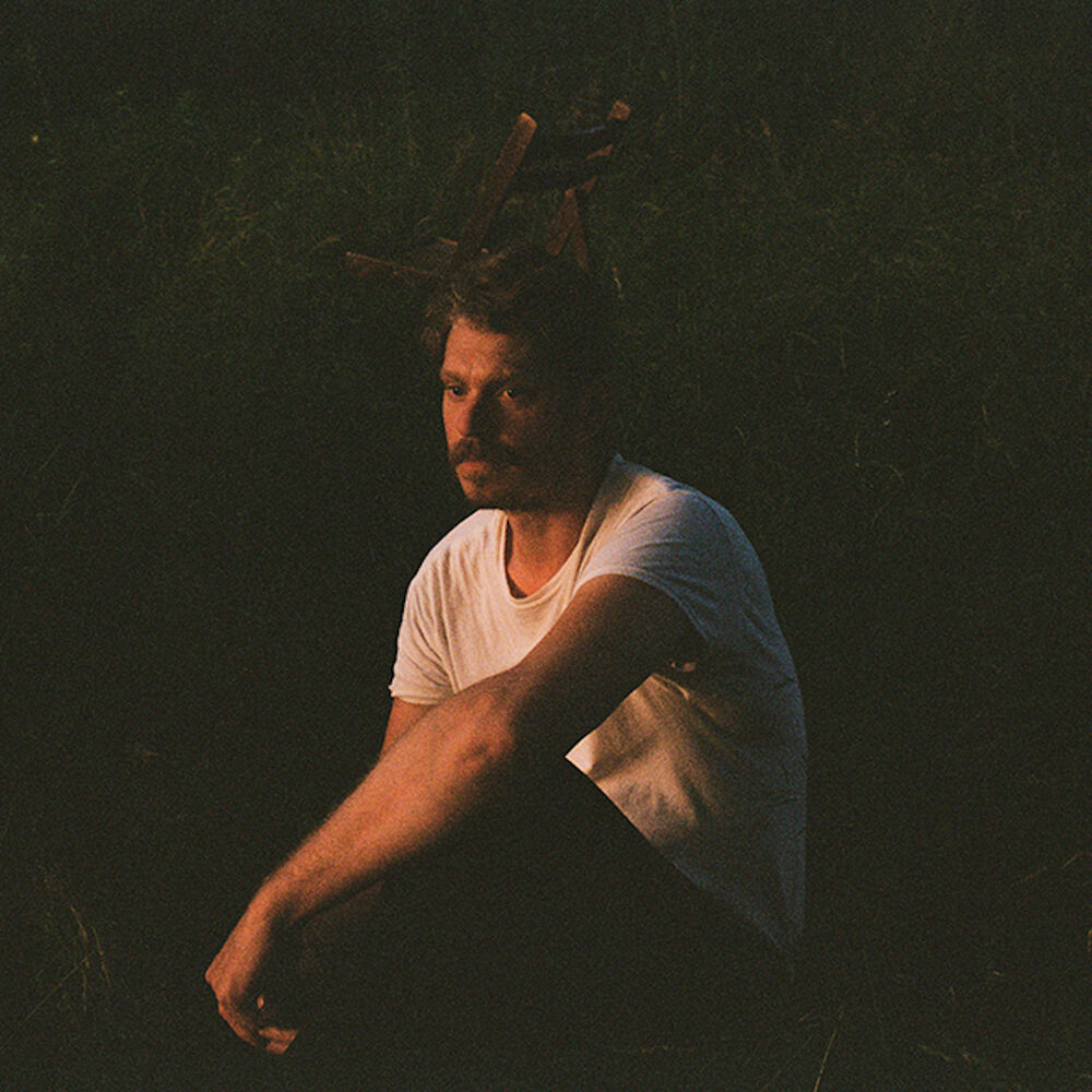 Picture of The Deep Dark Woods