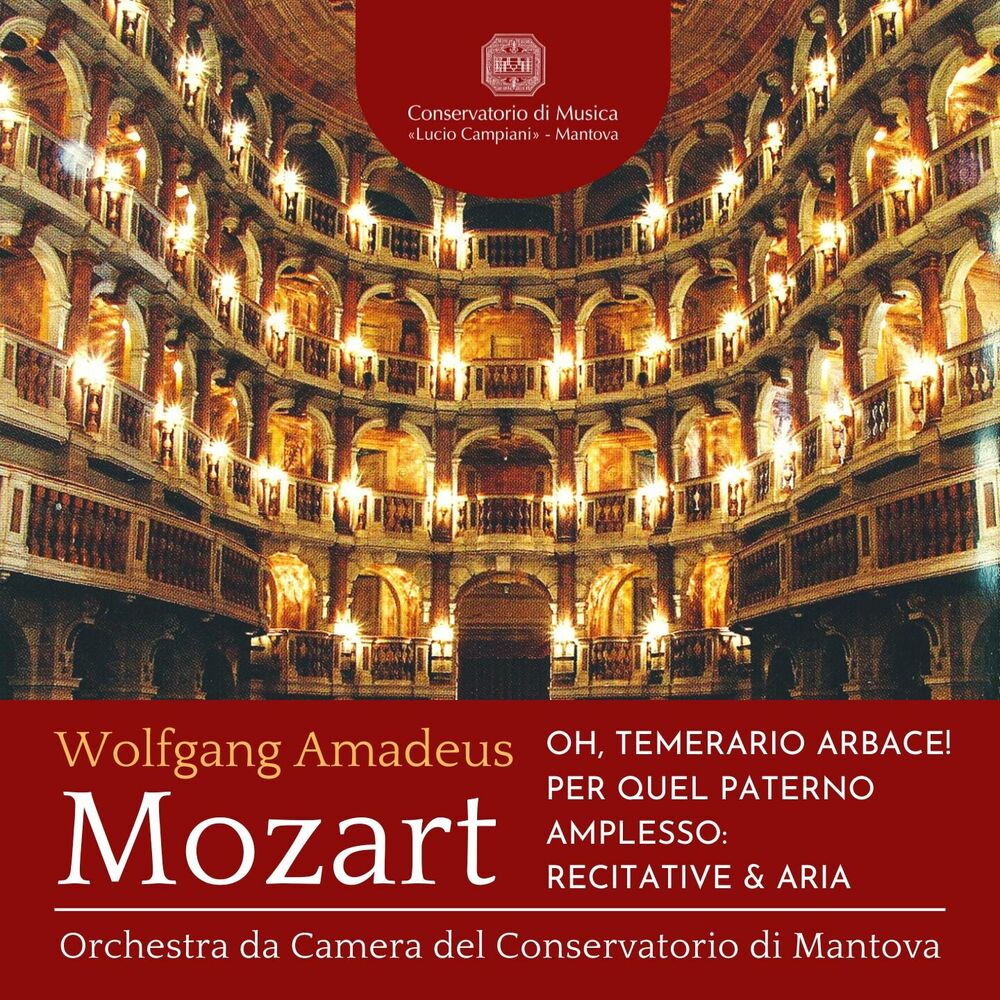 Picture of Orchestra da Camera del Conservatorio di Mantova