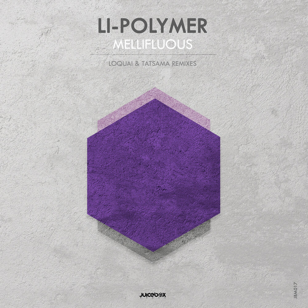 Picture of Li-Polymer