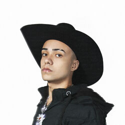 Picture of M4Uz