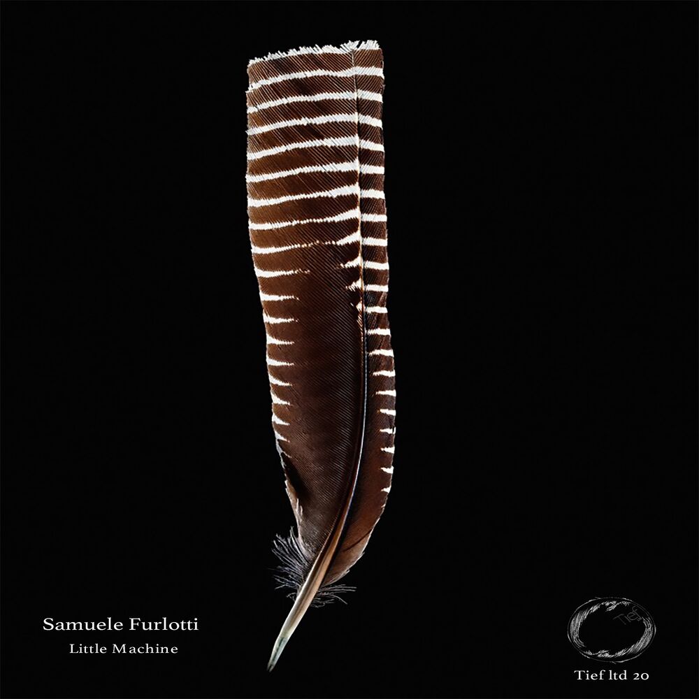 Picture of Samuele Furlotti