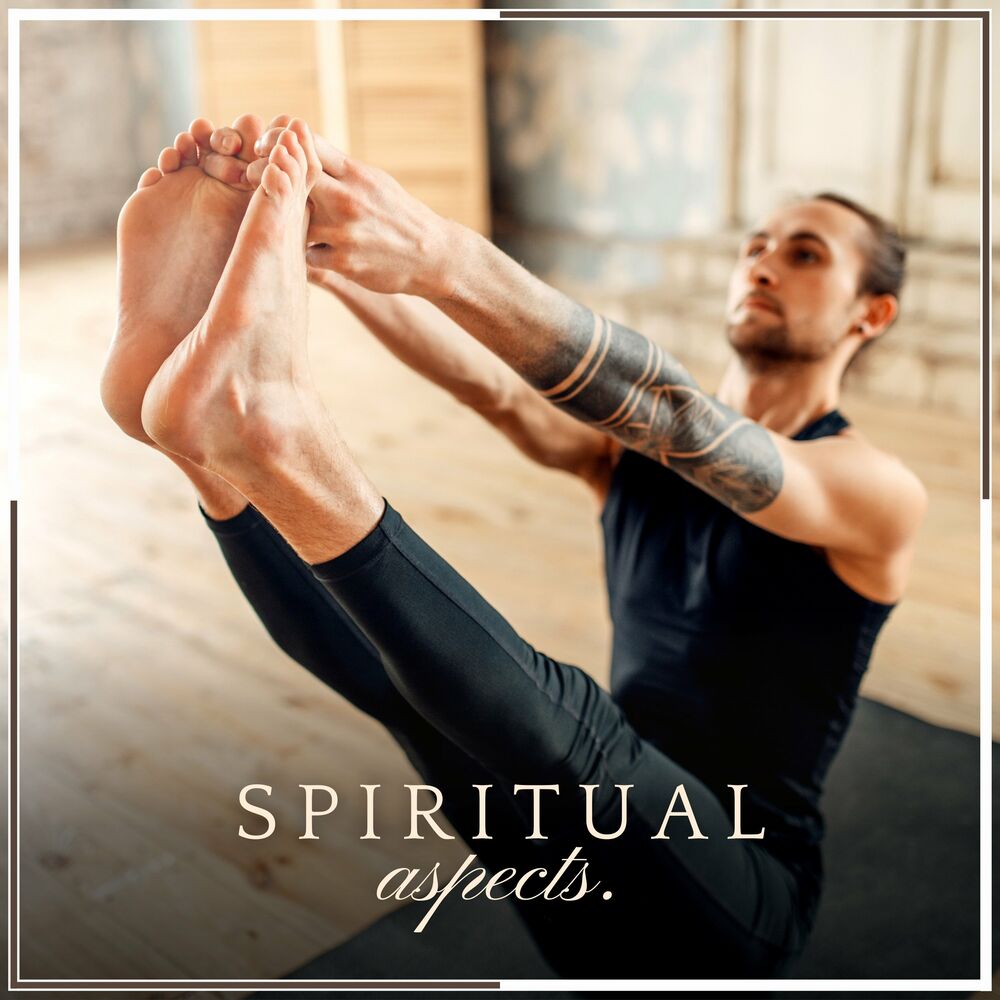 Picture of Hatha Yoga Maestro