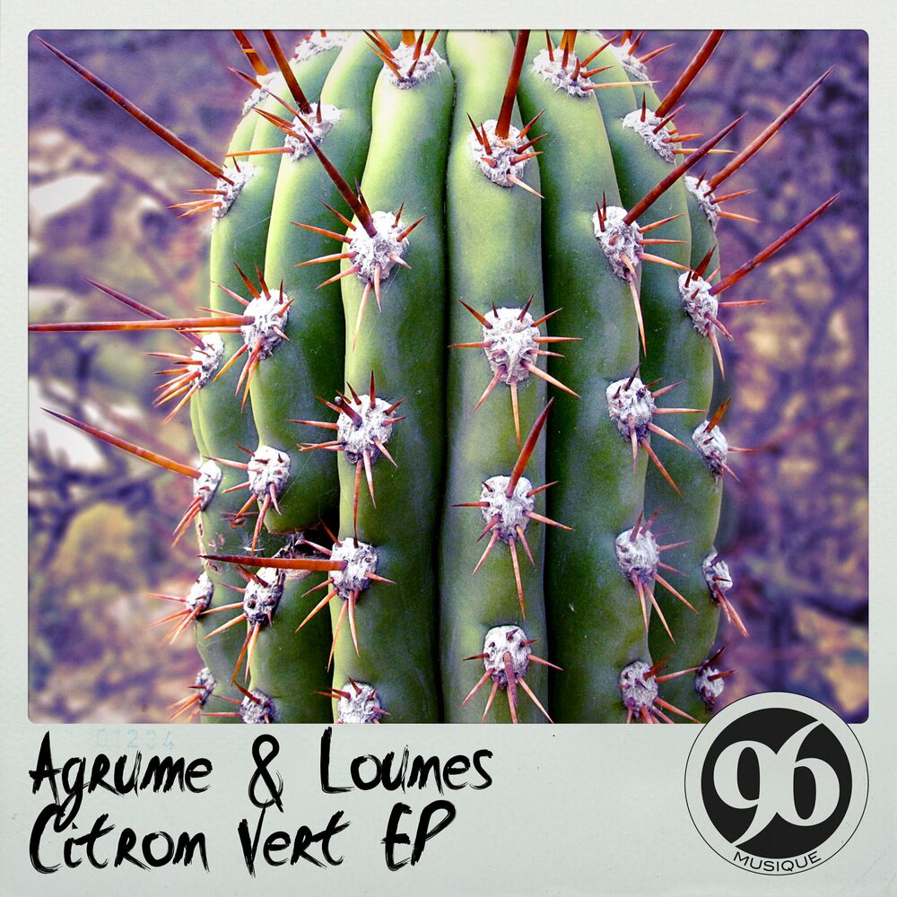 Picture of Agrume