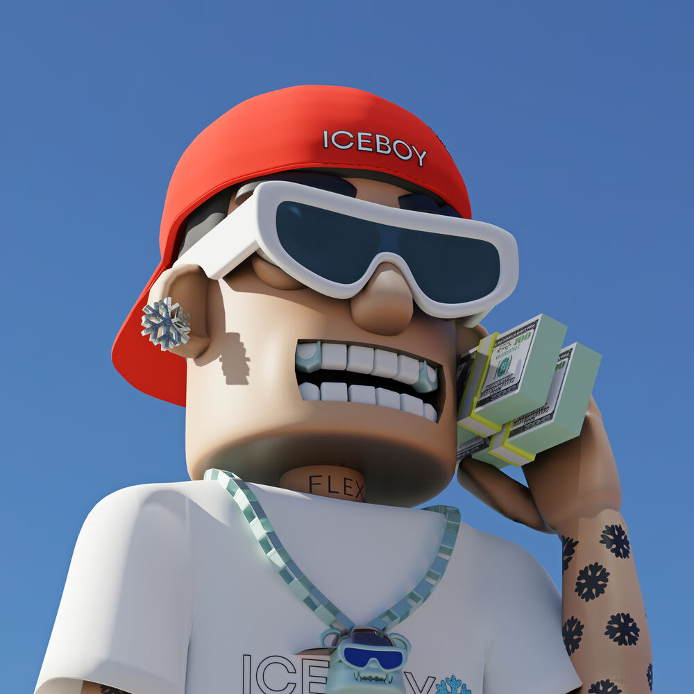 Picture of ICEBOYNOMA