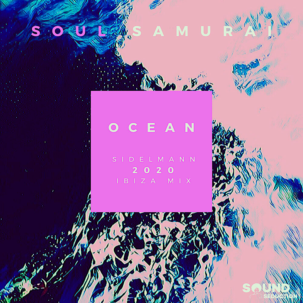 Picture of Soul Samurai