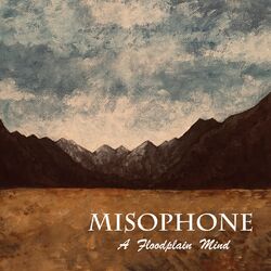 Picture of Misophone