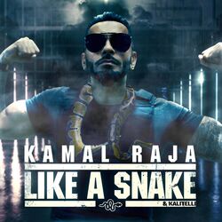Picture of Kamal Raja