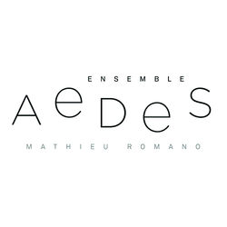 Picture of Ensemble Aedes