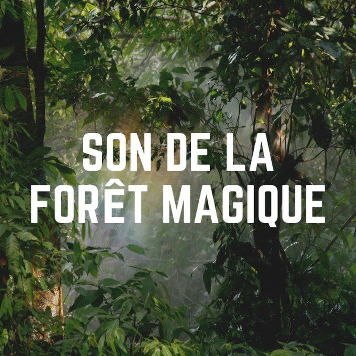 Musique Coeur de la Nature