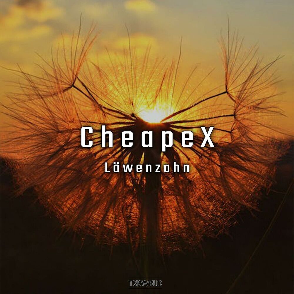 Picture of CheapeX