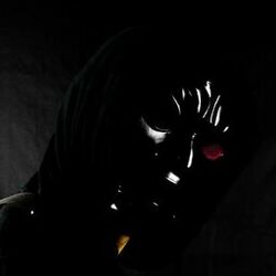 Picture of The Immortal