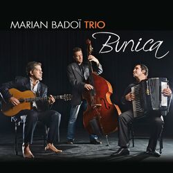Picture of Marian Badoï Trio