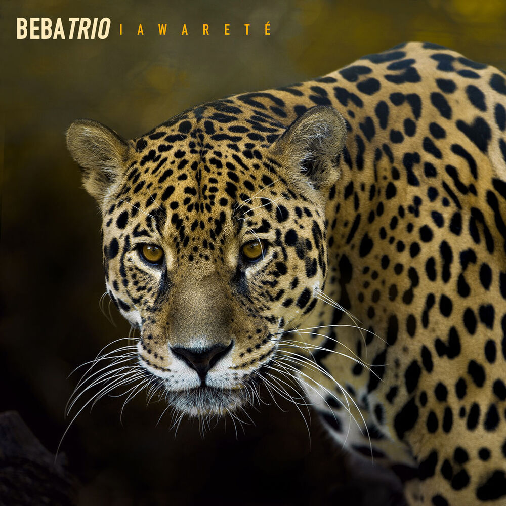 Picture of Beba Zanettini