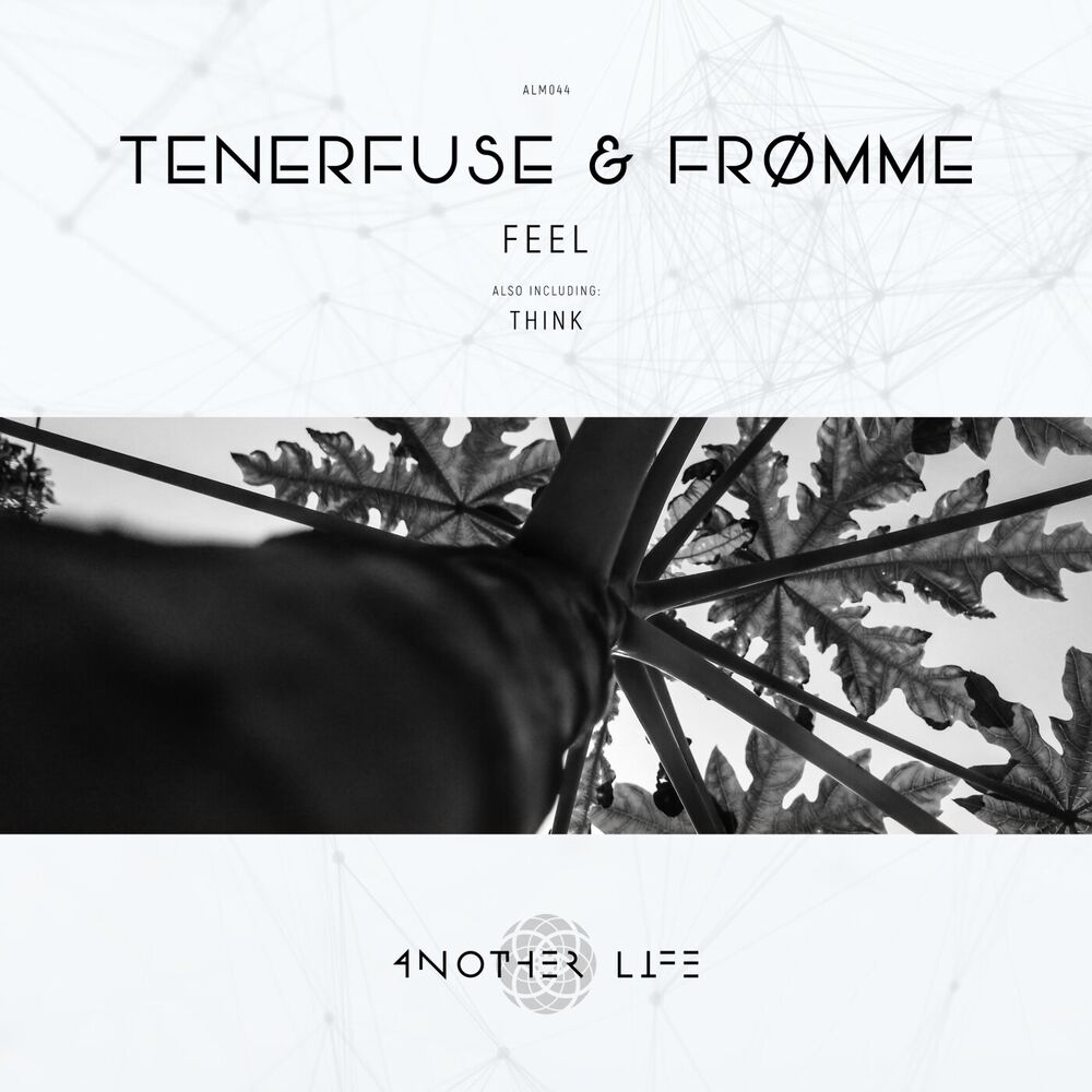 Picture of Tenerfuse