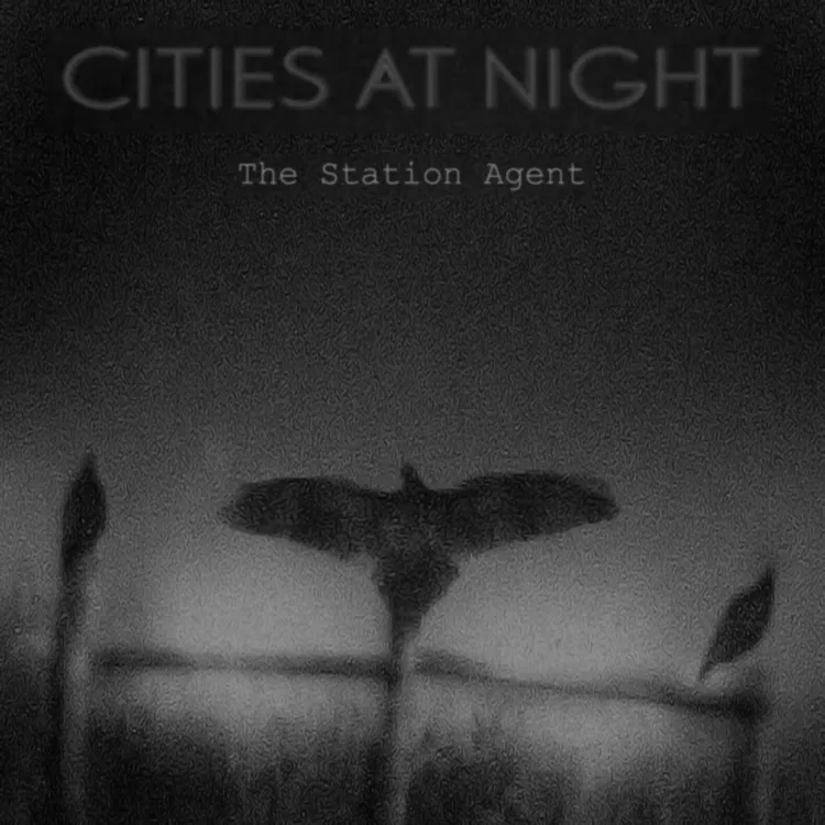 Cities At Night