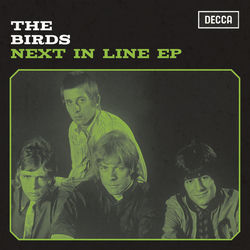 The Birds
