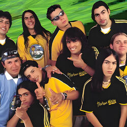 Picture of Yerba Brava