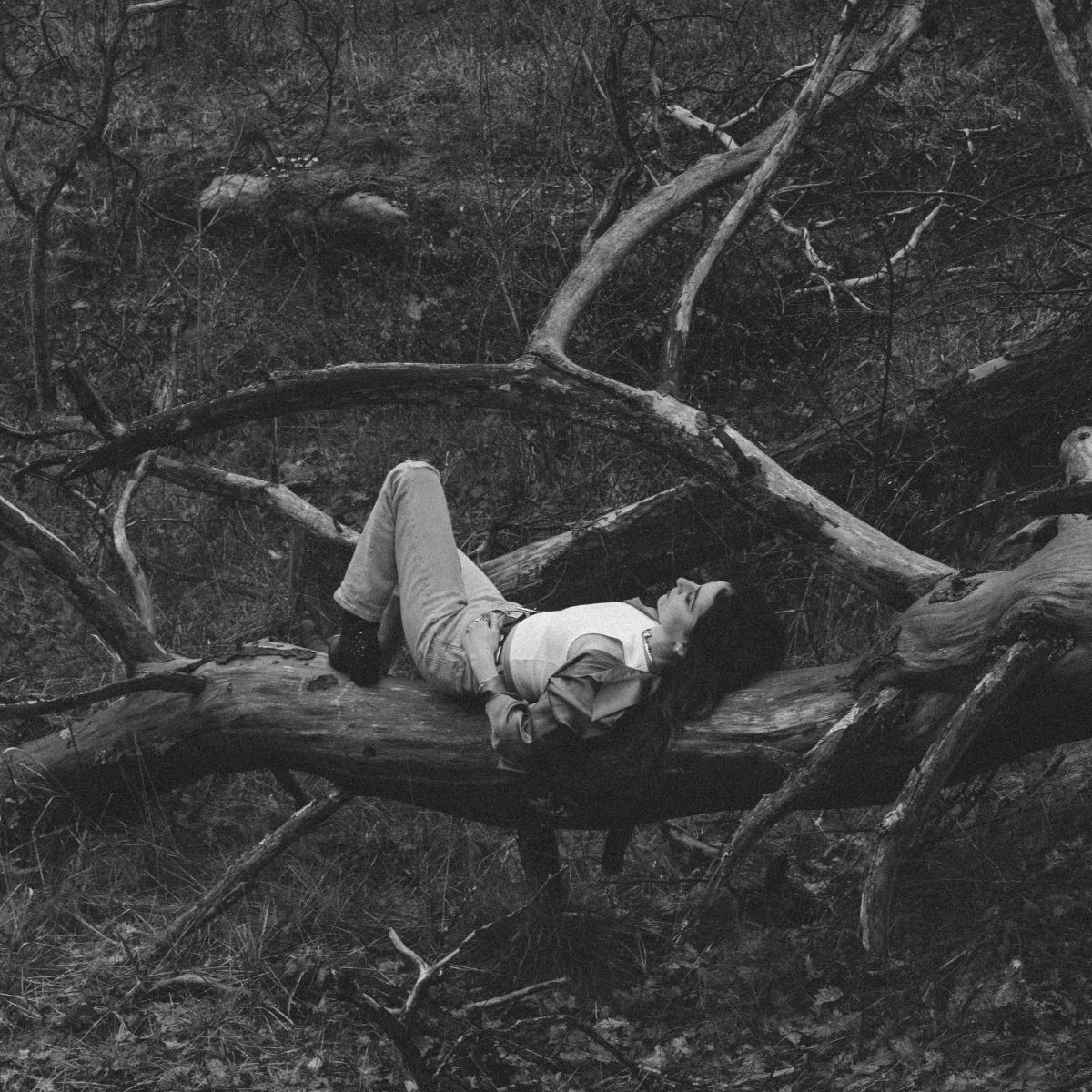 Artist picture of Laurie Xhaard