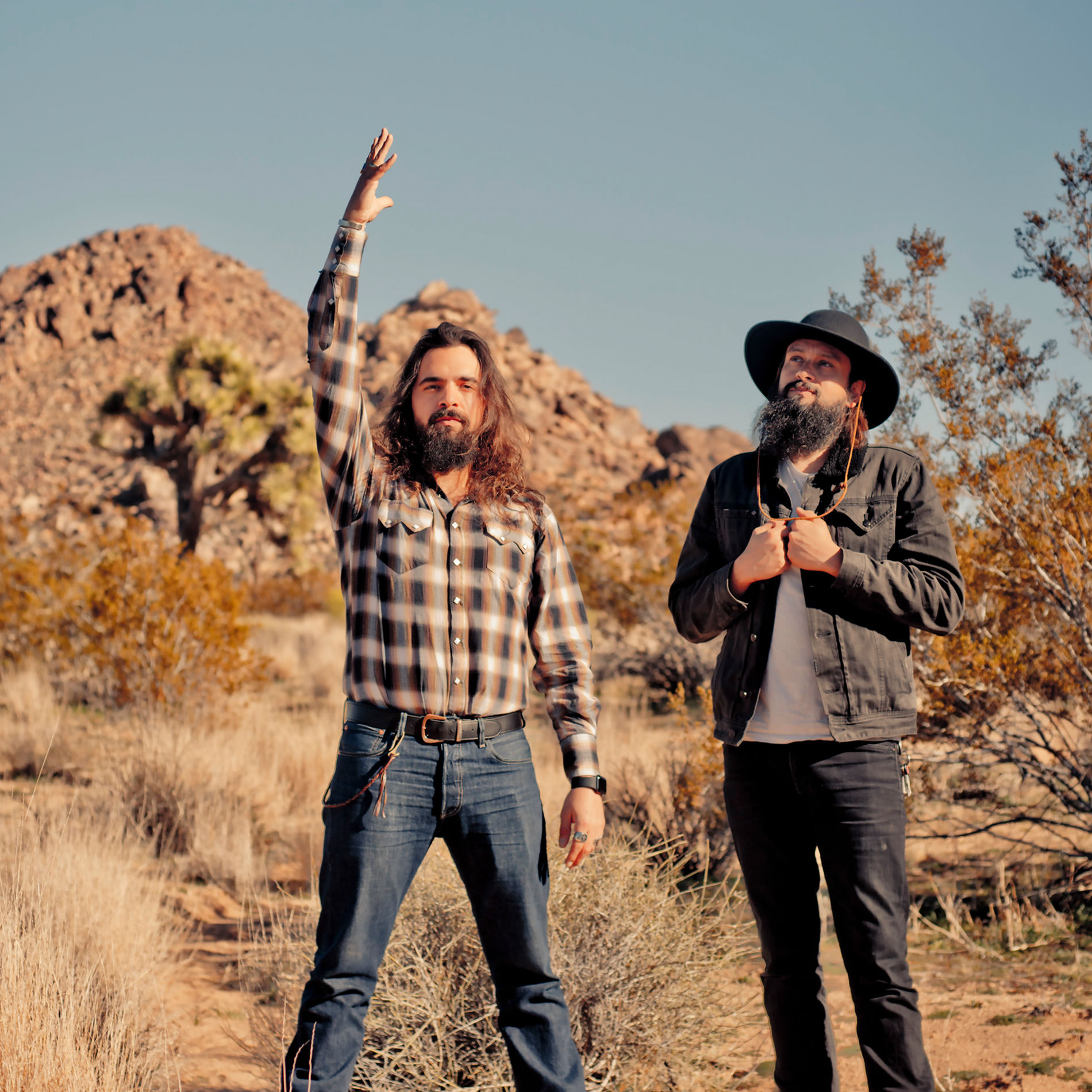 Artist picture of The Picturebooks