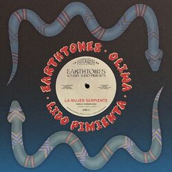 Picture of Earthtones