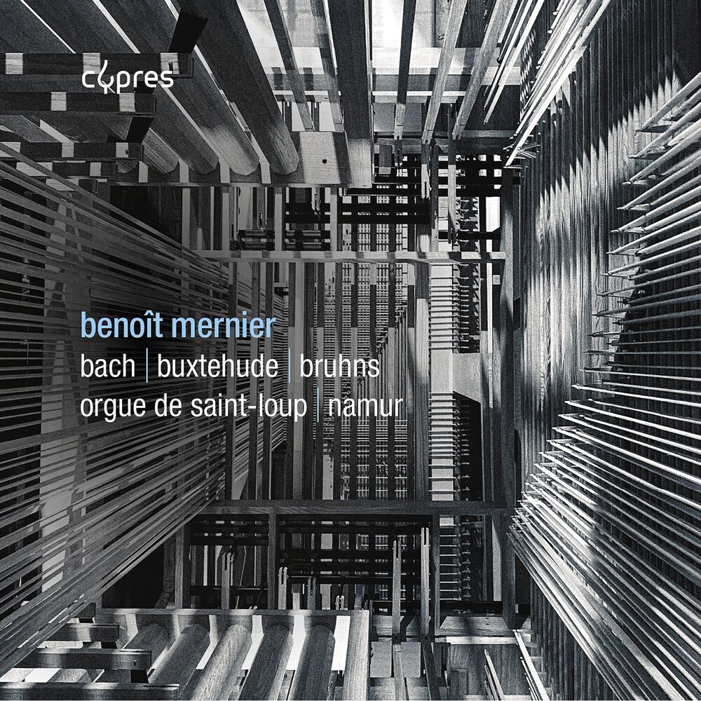 Picture of Benoît Mernier