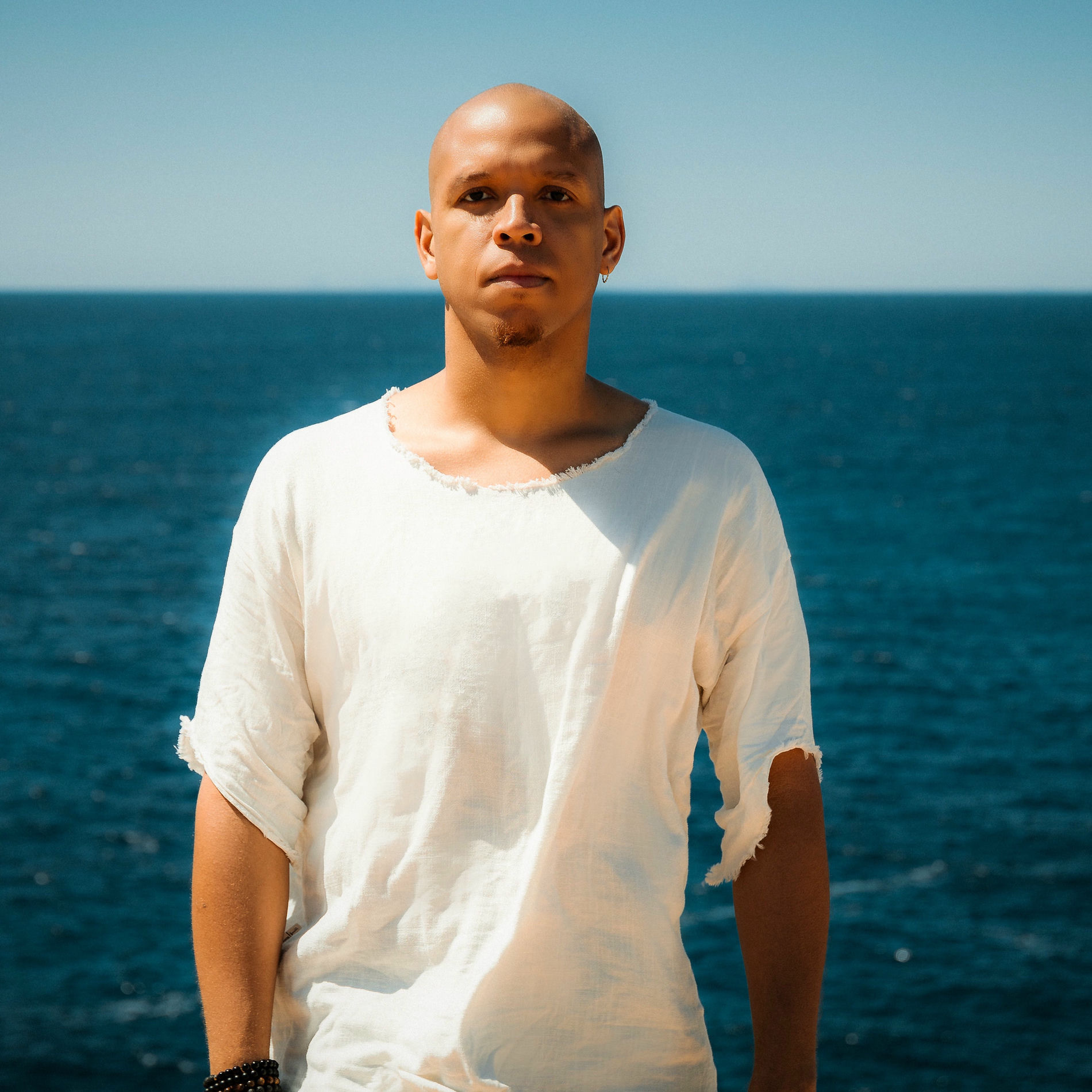 Artist picture of Francis Mercier