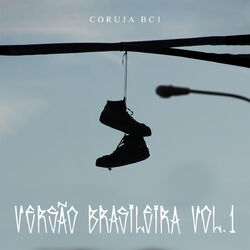 Picture of Coruja Bc1