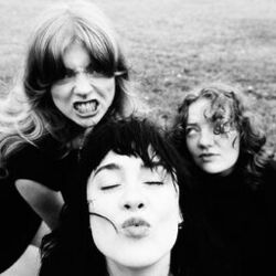 Picture of Folk Bitch Trio