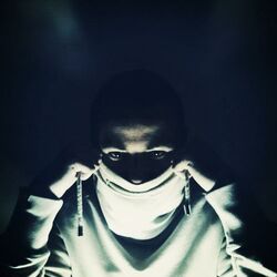 Picture of Populous