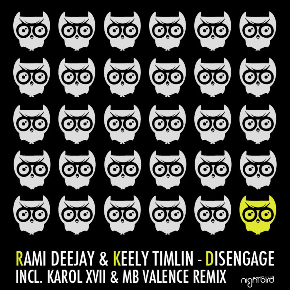 Picture of Rami Deejay