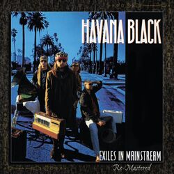 Picture of Havana Black