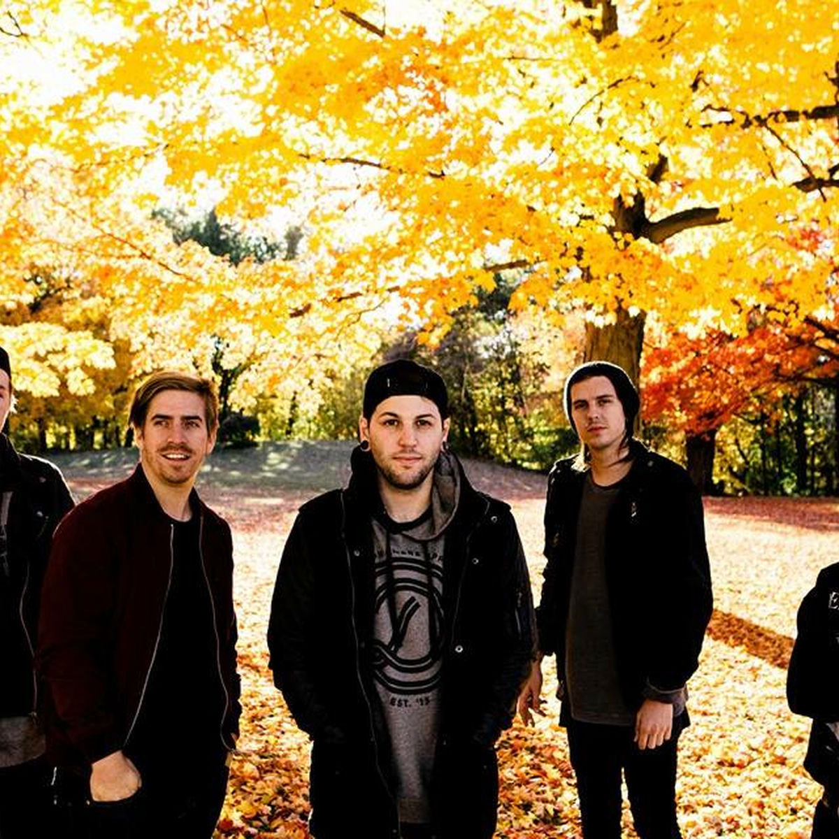 Artist picture of Secrets