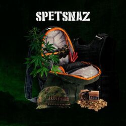 Picture of Spetsnaz