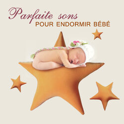 Picture of Bonne Nuit Academie