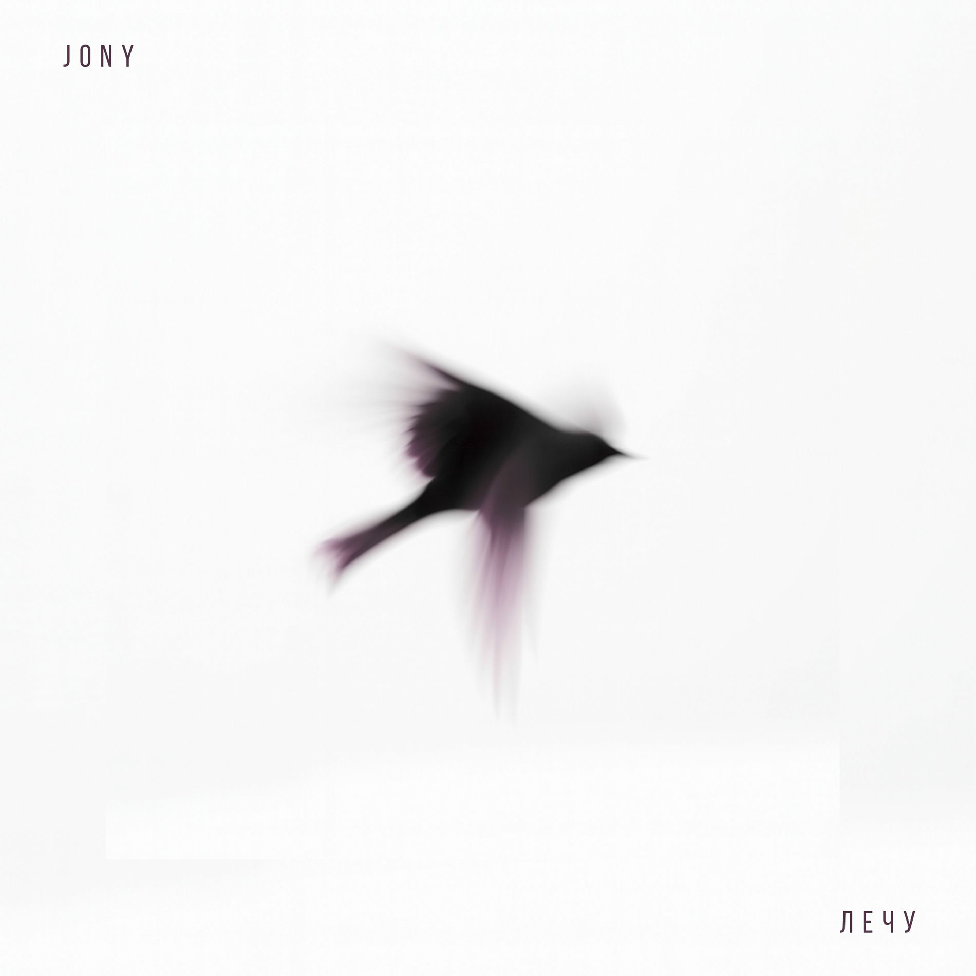 Jony