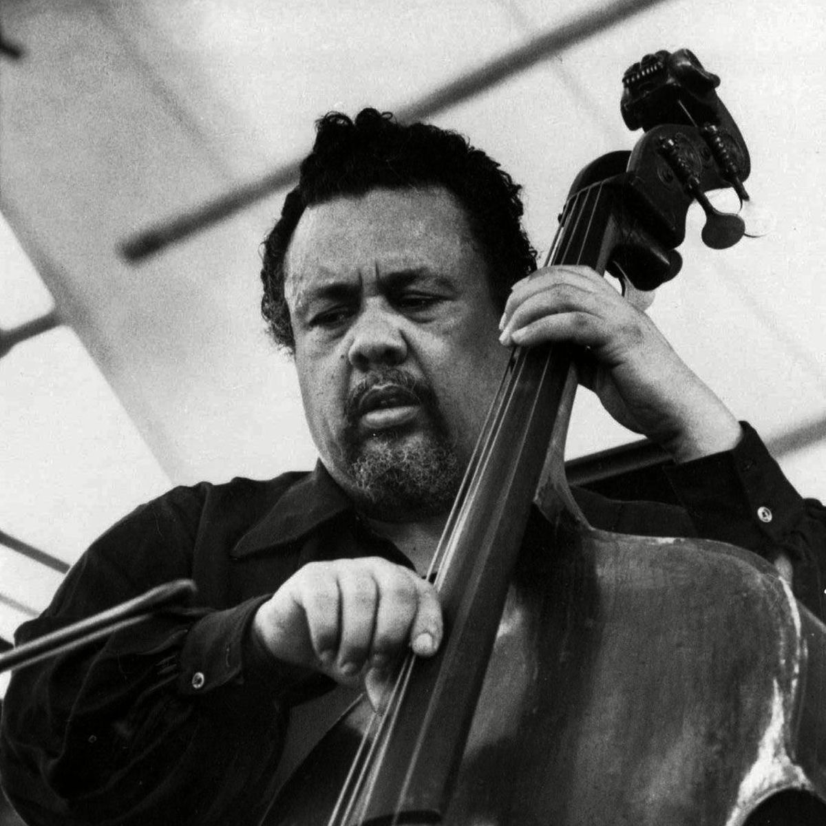 Artist picture of Charles Mingus