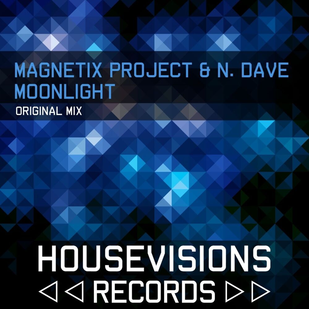 Picture of Magnetix Project
