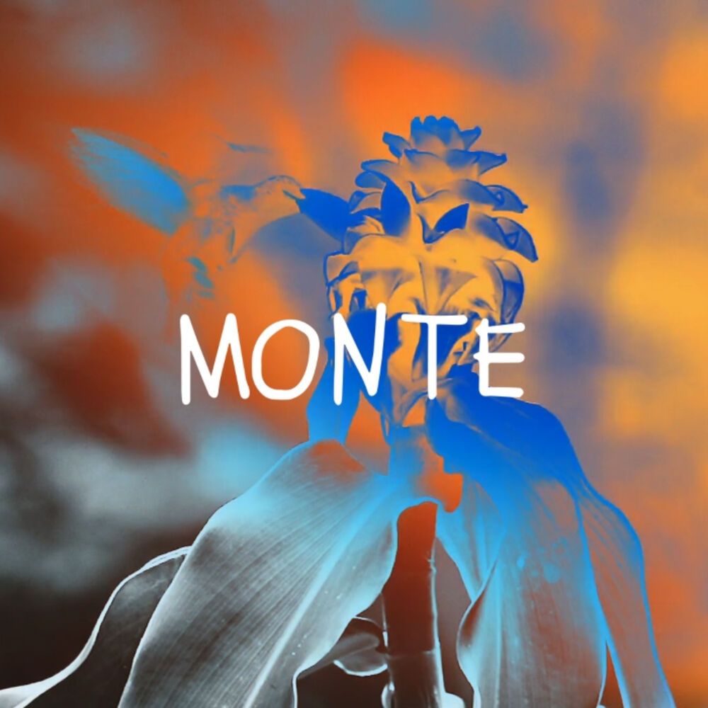 Picture of Monte