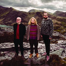 Alpha Male Tea Party