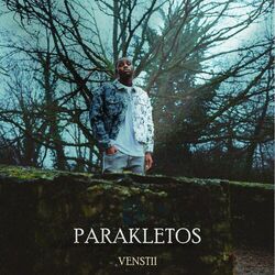 Picture of Venstii