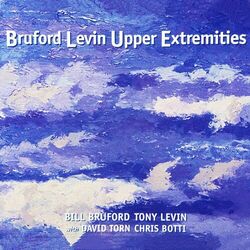 Picture of Bruford Levin Upper Extremities