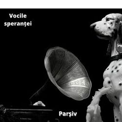 Picture of Vocile Speranței