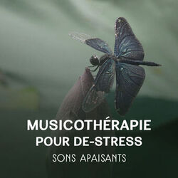 Picture of Académie de Musique Anti-stress