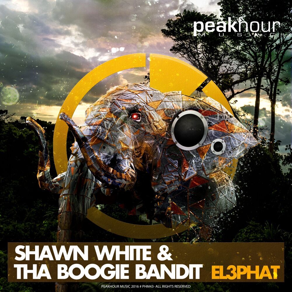 Picture of Shawn White & Tha Boogie Bandit