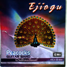 Peacocks Guitar Band International