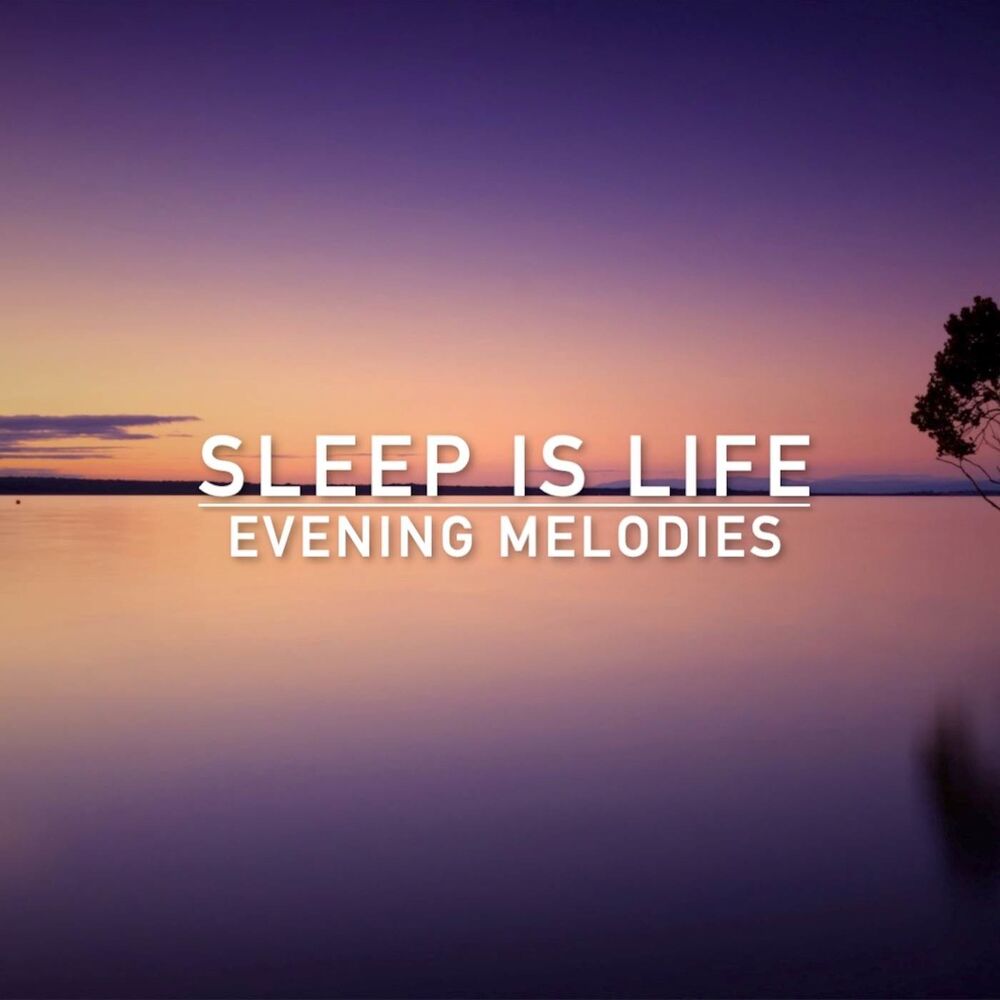 Picture of Sleep is Life