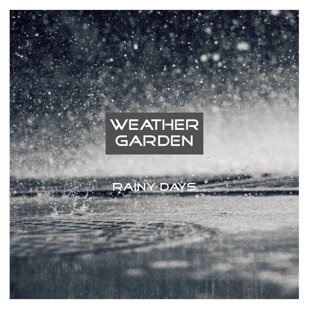 Picture of Weather Garden