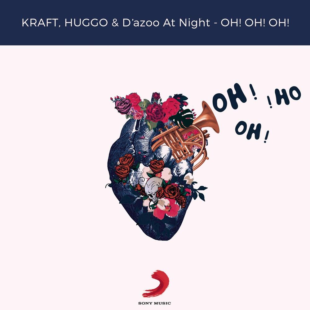 Picture of D'azoo at night