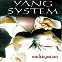 Picture of Yang system