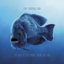 Picture of Live Tropical Fish